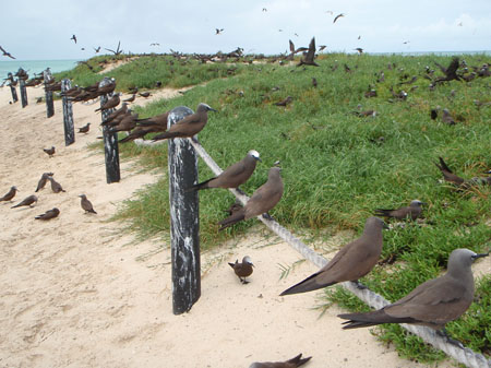 images_715