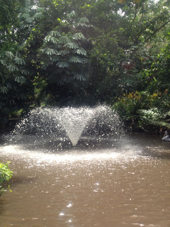 images_717