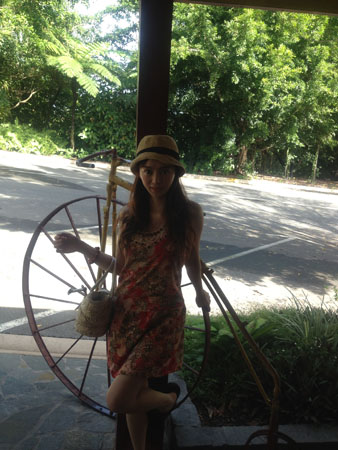 images_729