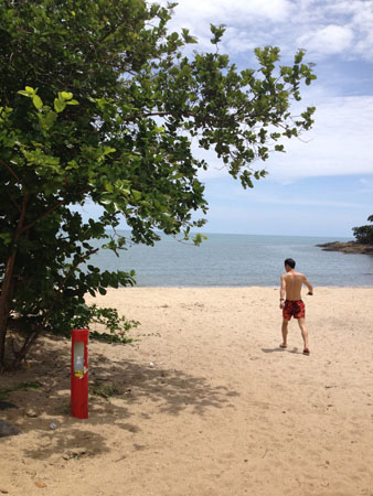 images_742