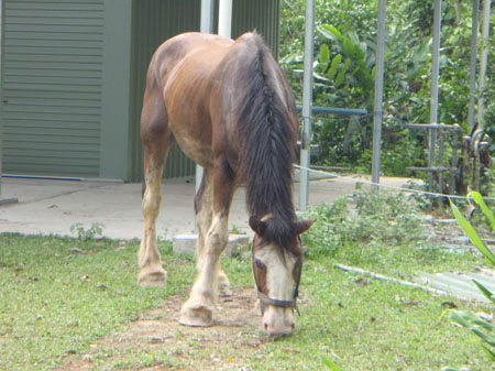 images_752