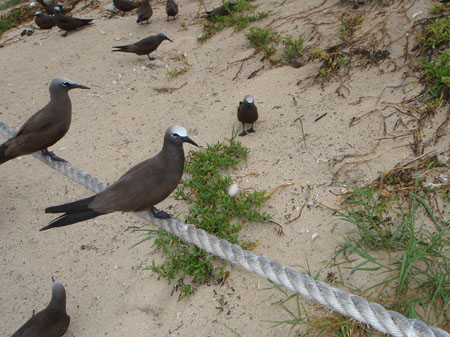 images_770