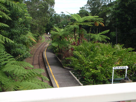 images_779
