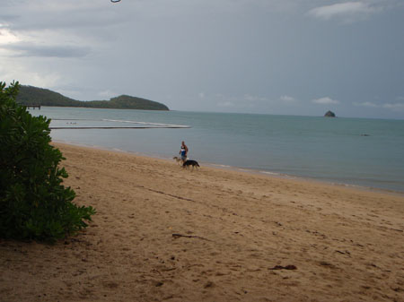 images_782