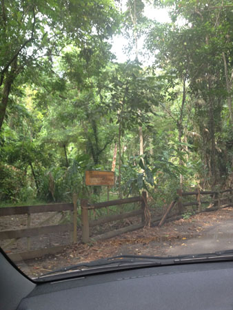 images_787