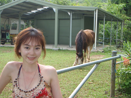 images_791