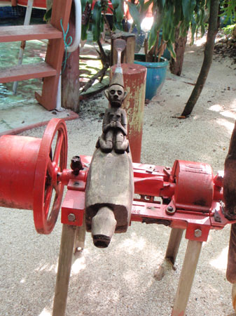 images_800