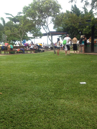 images_809