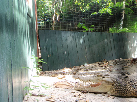 images_811