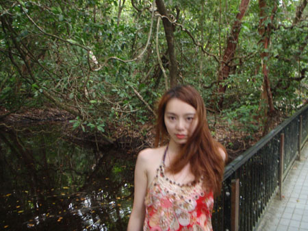 images_815