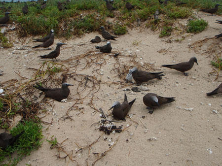 images_819