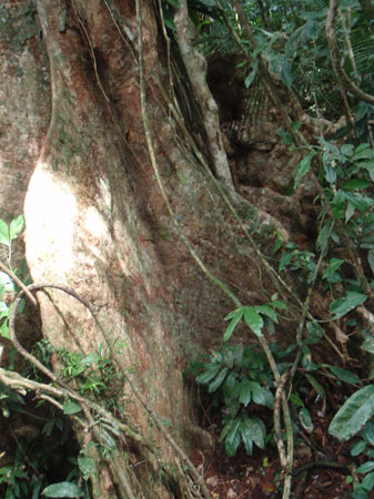 images_835