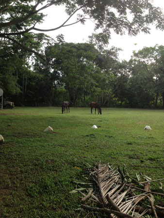 images_847