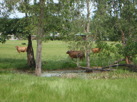 images_855