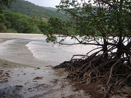 images_875