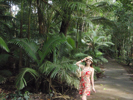images_883