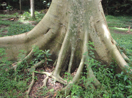 images_887