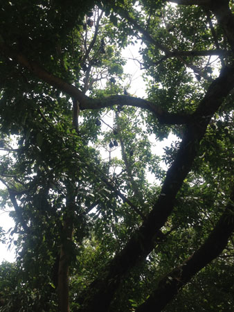 images_892