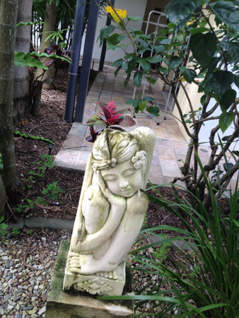images_897