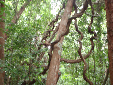 images_899