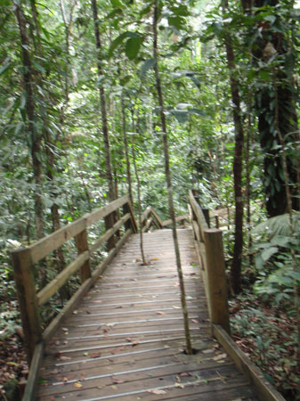 images_900