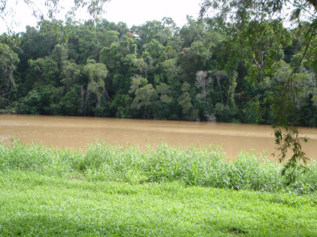 images_907