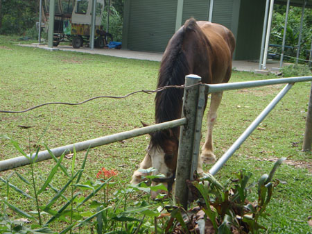 images_908