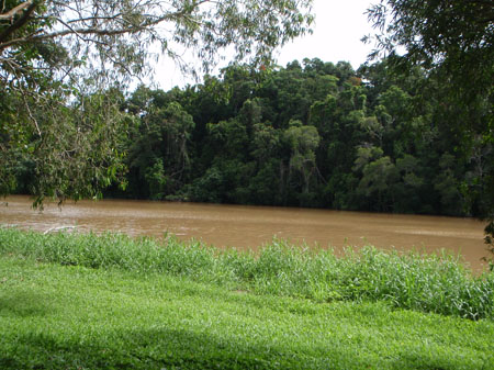images_910