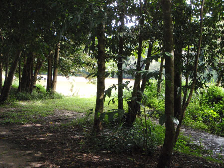 images_944