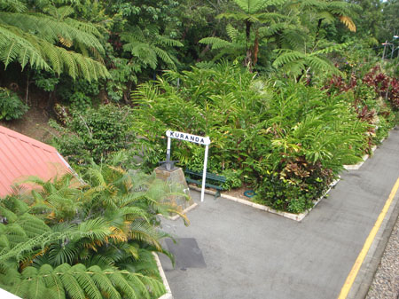 images_946