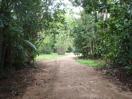 images_950