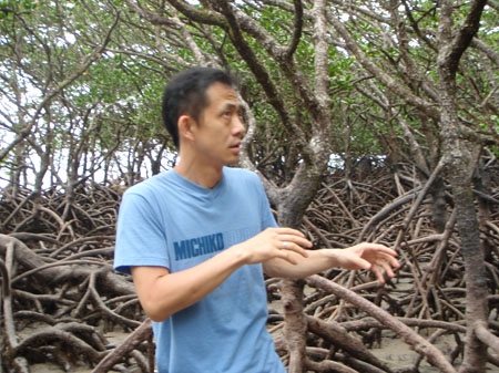 images_953