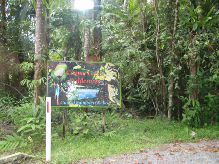 images_954