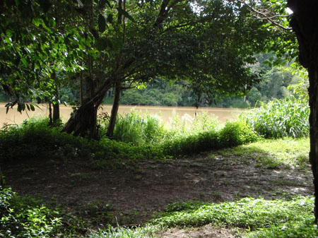images_972