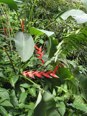 images_983