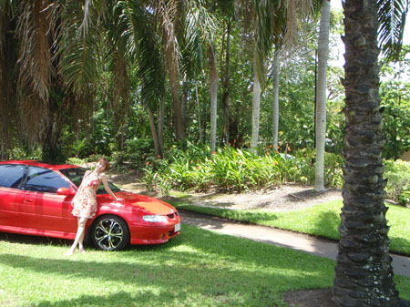 images_985