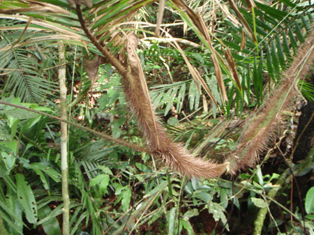 images_995