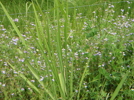 images_997