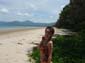 images_207