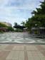 images_335