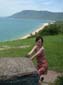 images_336