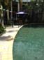 images_365
