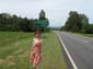 images_366