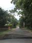 images_382