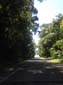 images_419