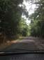 images_422
