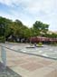 images_423