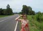 images_431