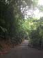 images_457