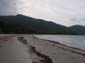 images_461